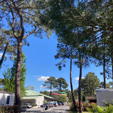 Camping Mobilhome 4/6 Personnes Siblu Bonne Anse *
